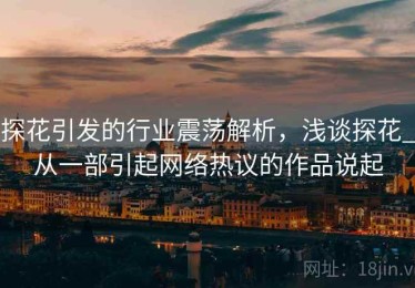 探花引发的行业震荡解析，浅谈探花_从一部引起网络热议的作品说起