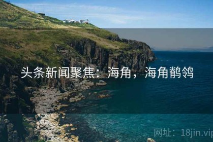 头条新闻聚焦：海角，海角鹡鸰