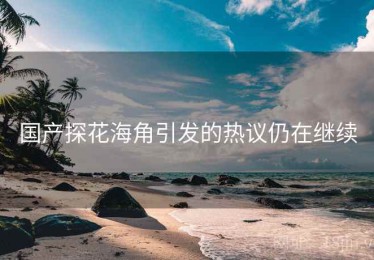 国产探花海角引发的热议仍在继续