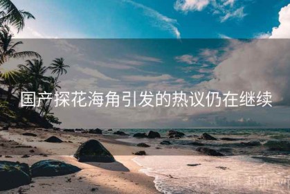 国产探花海角引发的热议仍在继续