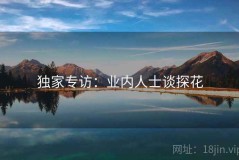 独家专访：业内人士谈探花