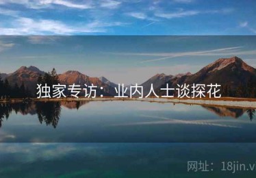 独家专访：业内人士谈探花