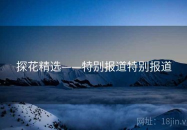 探花精选——特别报道特别报道