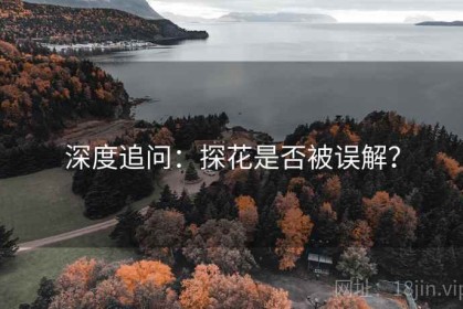 深度追问：探花是否被误解？