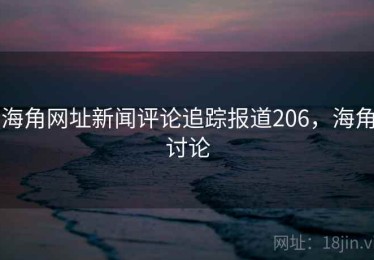 海角网址新闻评论追踪报道206，海角讨论