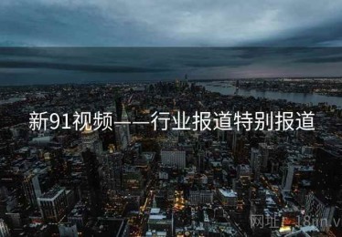 新91视频——行业报道特别报道