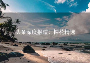 头条深度报道：探花精选