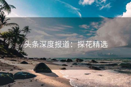 头条深度报道：探花精选