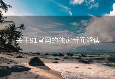 关于91官网的独家新闻解读