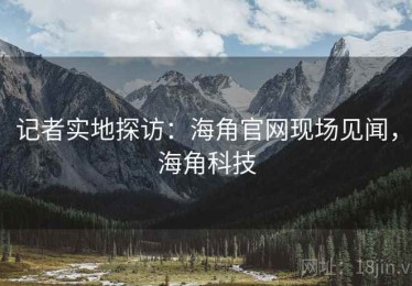 记者实地探访：海角官网现场见闻，海角科技