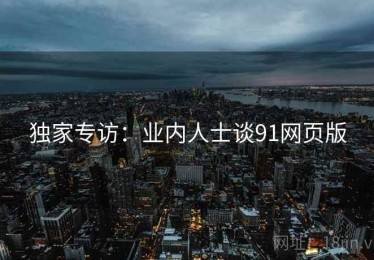 独家专访：业内人士谈91网页版