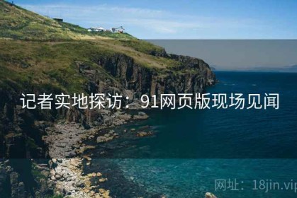 记者实地探访：91网页版现场见闻