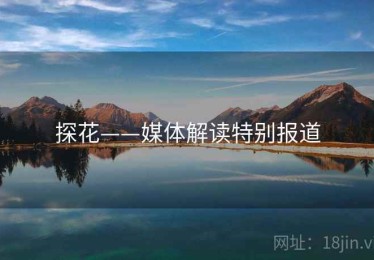 探花——媒体解读特别报道