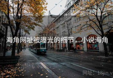 海角网址被曝光的细节，小说海角