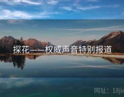 探花——权威声音特别报道