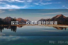 探花——权威声音特别报道