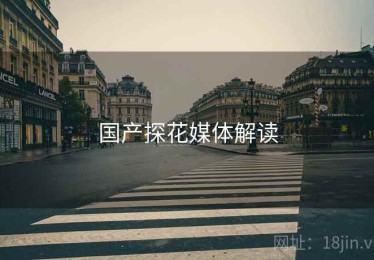 国产探花媒体解读