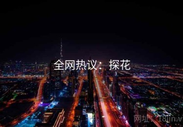 全网热议：探花