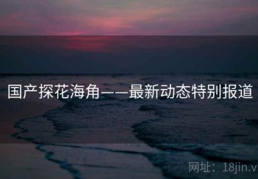 国产探花海角——最新动态特别报道