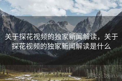 关于探花视频的独家新闻解读，关于探花视频的独家新闻解读是什么