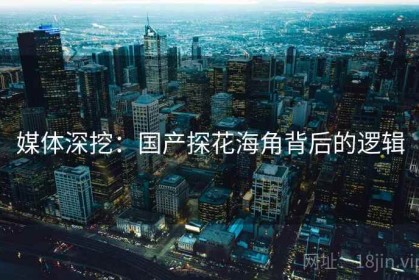 媒体深挖：国产探花海角背后的逻辑