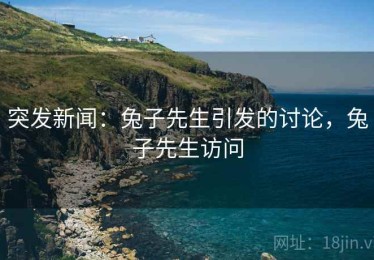 突发新闻：兔子先生引发的讨论，兔子先生访问