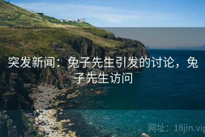 突发新闻：兔子先生引发的讨论，兔子先生访问