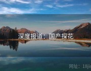 深度报道：国产探花