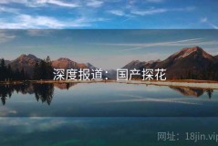 深度报道：国产探花