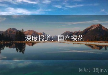 深度报道：国产探花