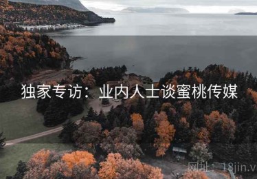 独家专访：业内人士谈蜜桃传媒