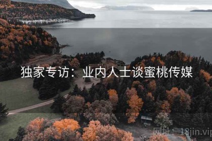 独家专访：业内人士谈蜜桃传媒