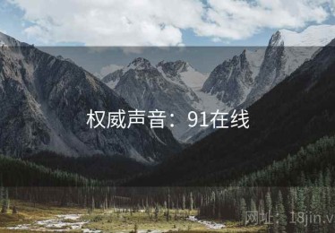 权威声音：91在线