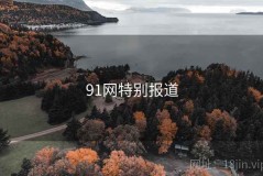 91网特别报道