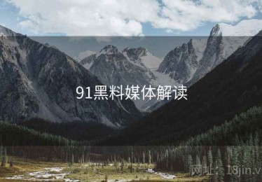 91黑料媒体解读