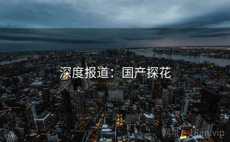 深度报道:国产探花 深度报道:国产探花