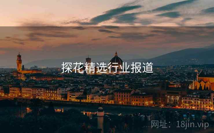 探花精选行业报道
