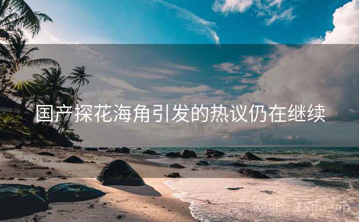 国产探花海角引发的热议仍在继续