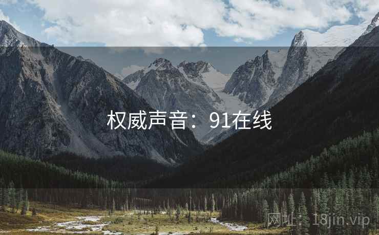 权威声音：91在线