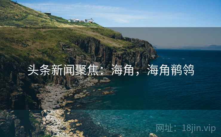 头条新闻聚焦：海角，海角鹡鸰