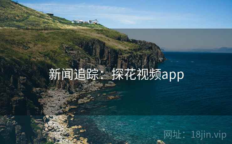 新闻追踪：探花视频app