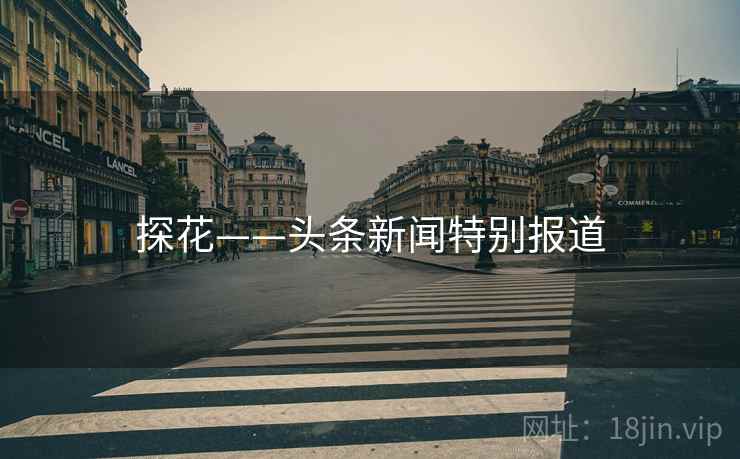 探花——头条新闻特别报道